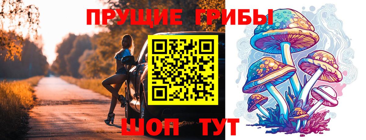 Псилоцибиновые грибы Cubensis Ковров