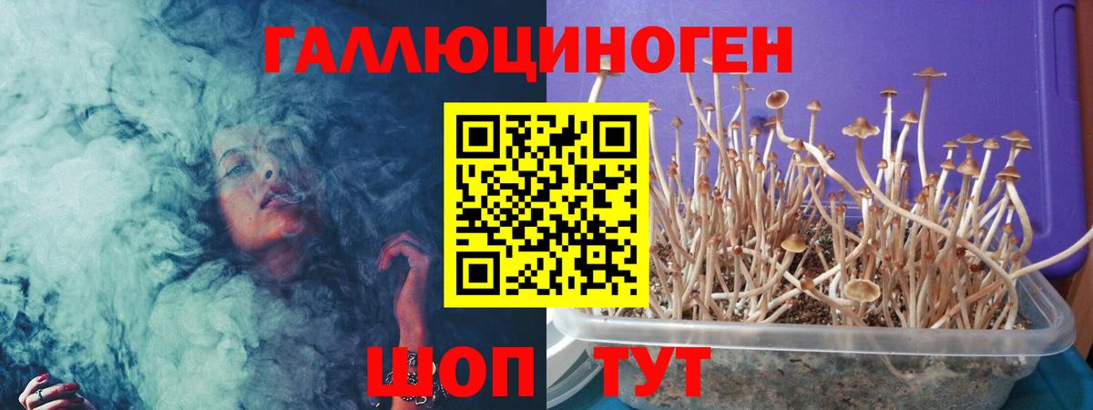 где можно купить   Вход с VPN  Ковров  Псилоцибиновые грибы мухоморы  Галлюциногенные грибы Magic Shrooms 